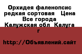 Орхидея фаленопсис редкая сортовая › Цена ­ 800 - Все города  »    . Калужская обл.,Калуга г.